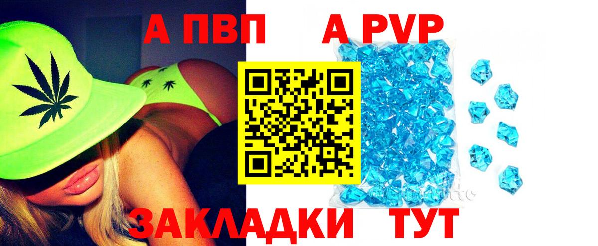 Alfa_PVP СК Краснознаменск